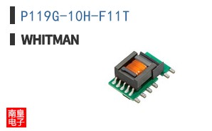 P119G-10H-F11T ͼƬ